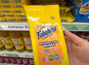 fabuloso wipes from dollar tree